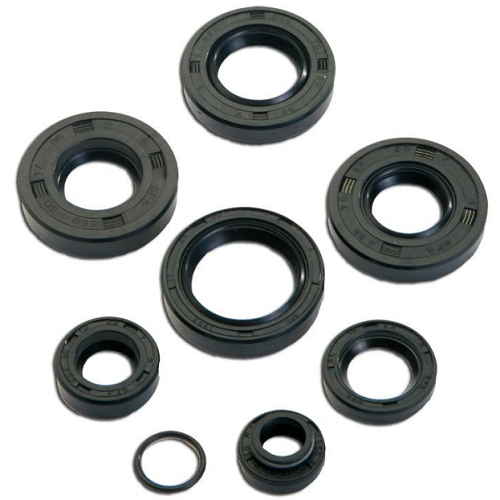 Kit paraoli completo motore Minarelli Am6
