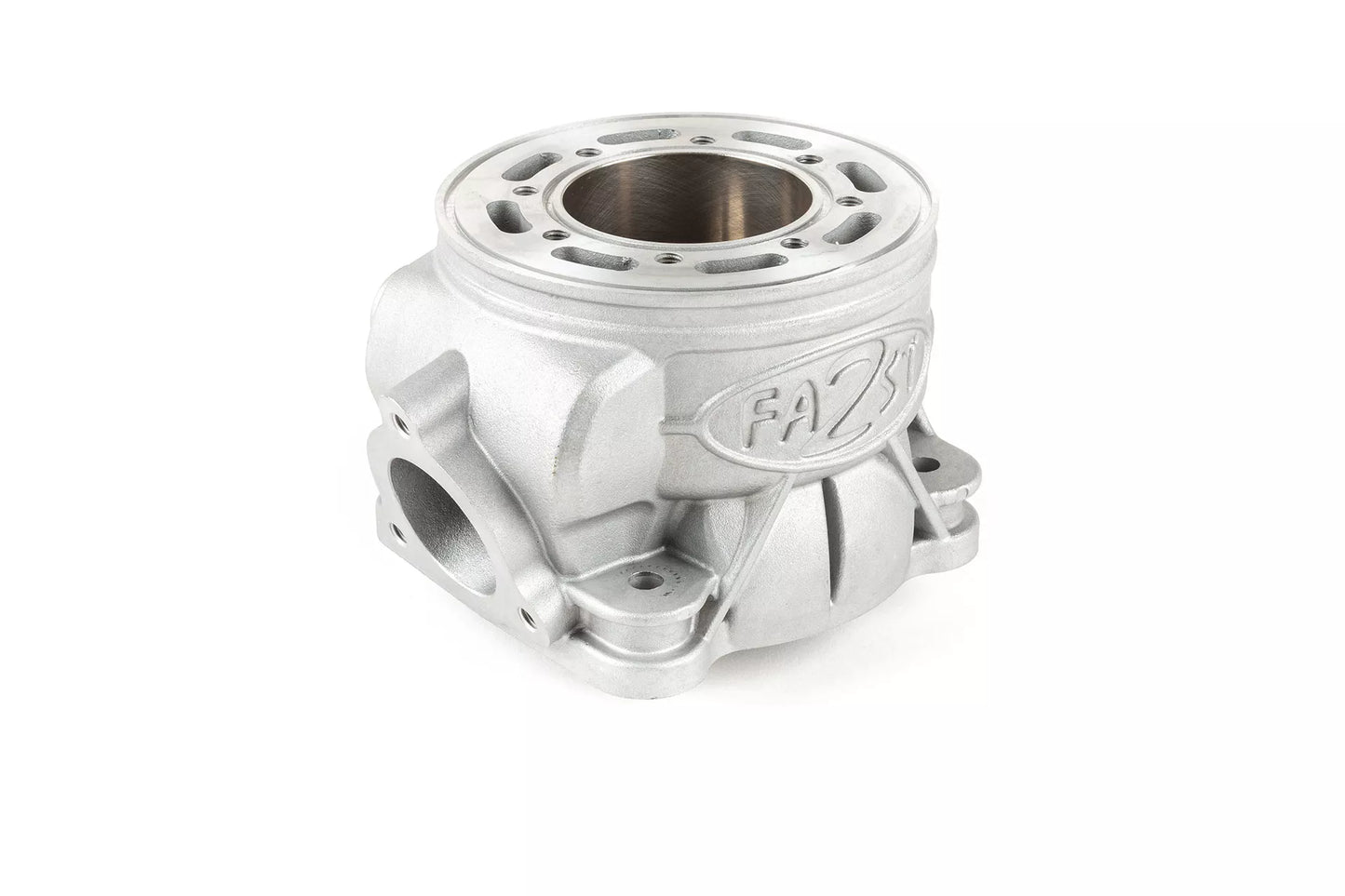 Gruppo Termico 2Fast FL100 biella 100mm per carter Malossi C-one / RC-one