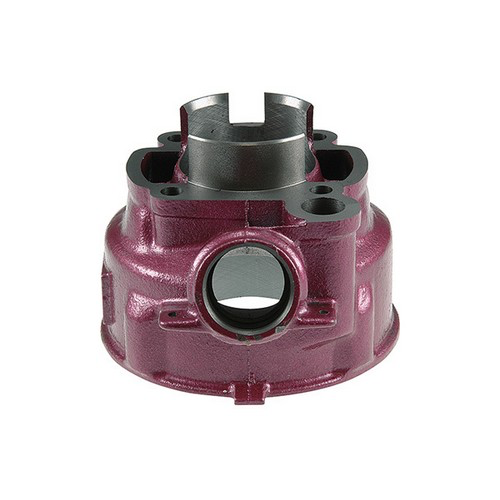 GRUPPO TERMICO TOP 2 PLUS 75CC D.49,5MM CORSA STANDARD MINARELLI AM6 GHISA