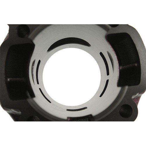 GRUPPO TERMICO TOP 2 PLUS 75CC D.49,5MM CORSA STANDARD MINARELLI AM6 GHISA