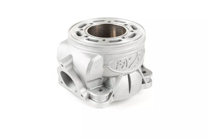 Gruppo Termico 2Fast FL100 biella 100mm per carter Malossi C-one / RC-one