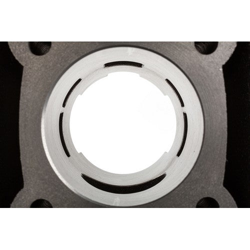 GRUPPO TERMICO TOP TPR 86CC D.50 DERBI - D50B0 CORSA 44 PER MAXIKIT