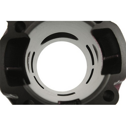 GRUPPO TERMICO TOP 2 PLUS 75CC D.49,5MM CORSA STANDARD MINARELLI AM6 GHISA